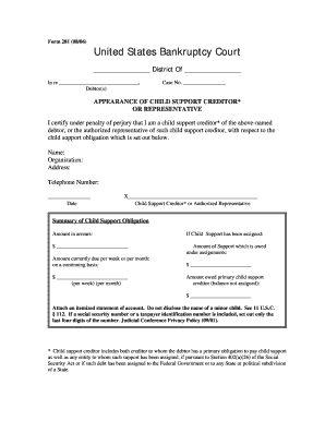 Bankruptcy Court Proof of Claim Child Support Creditor Form 281