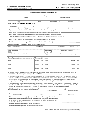 Affidavit of Support Form