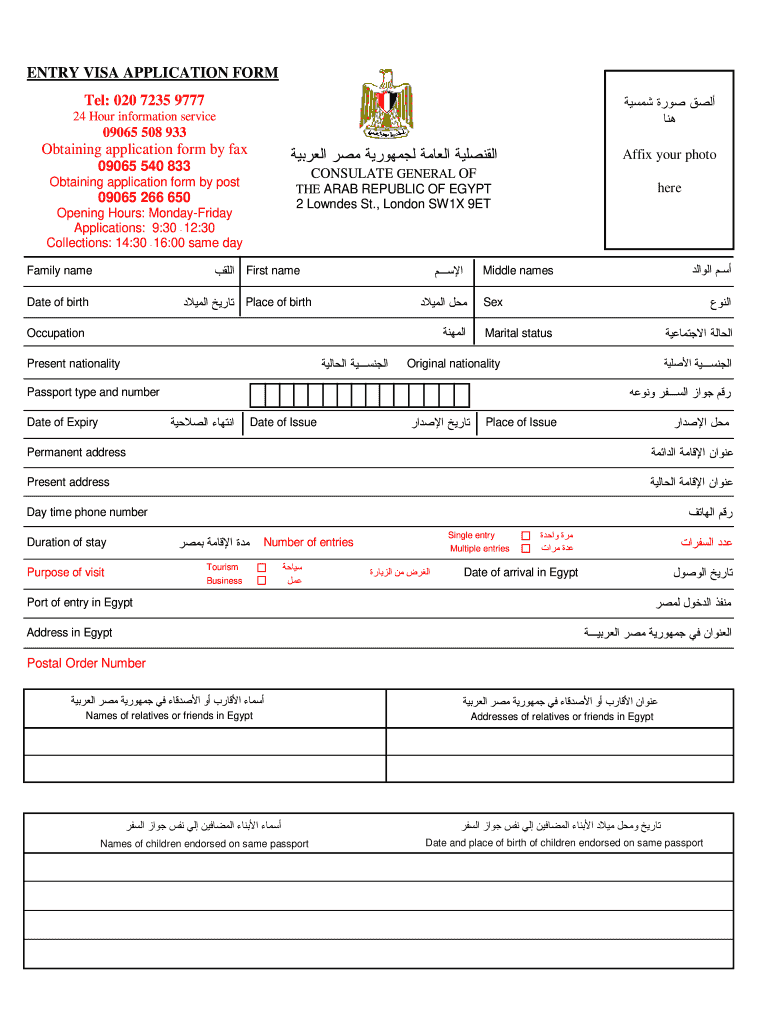 egypt tourist visa application form pdf