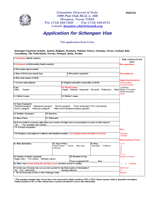 Sample Qatar Work Visa  Form