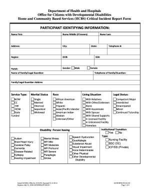 Medical Incident Report Template  Form