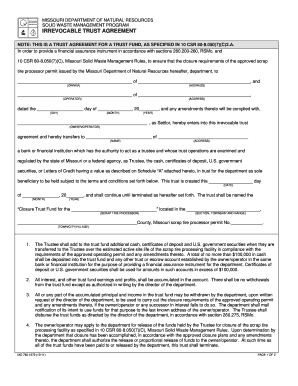 Sample Irrevocable Trust  Form