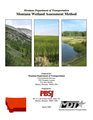 Montana Wetland Assessment Method Form