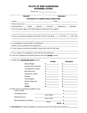 Get and Sign Affidavit of Assets and Liabilities Form 