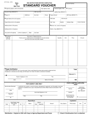 State of New York Travel Voucher Form