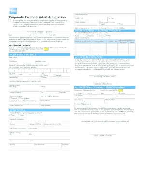 AMEX CORP CARD INDIVIDUAL APP 01 12 10 American Express  Form