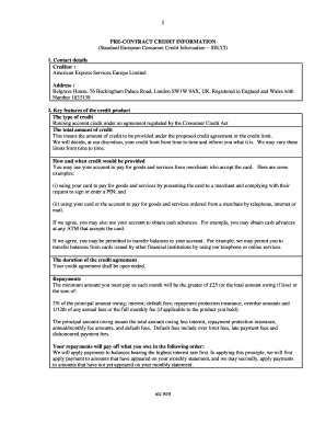 Amex Precontractual Disclosure of Terms and Conditions Form