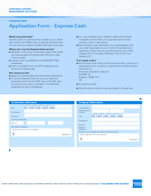 Download Cash Application American Express Corporate Services  Form