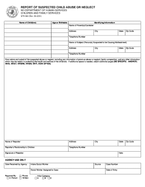 ND DEPARTMENT of HUMAN SERVICES CHILDREN and FAMILY SERVICES Nd  Form