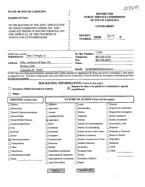 STATE of SOUTH CAROLINA STATE of SOUTH CAROLINA Dms Psc Sc  Form