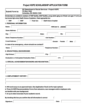 Hope Program Sc  Form