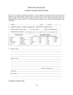 Accident Form for Schools