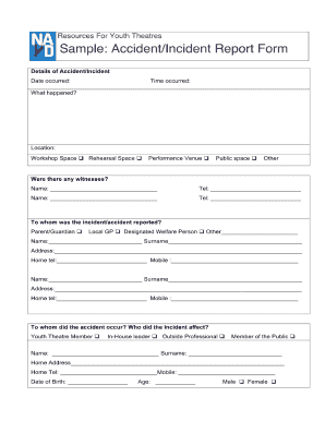 Accident Report Sample  Form