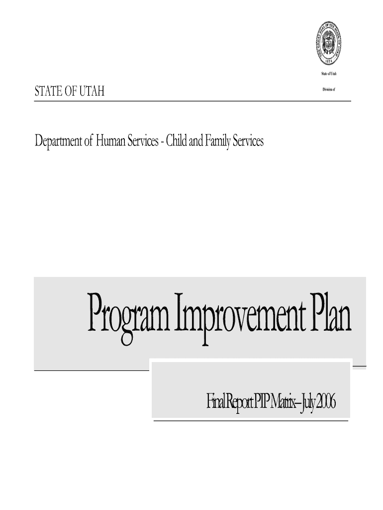 Final Report PIP Matrix July Hsdcfs Utah  Form