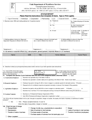 Dws Ui Form 1