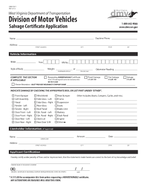 Dmv 1 S  Form