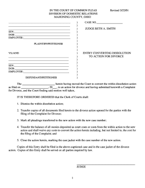Mahoning County Civil Protection Order Writable Form