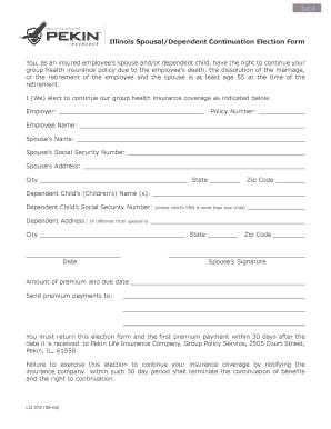 Illinois Divorce Forms PDF