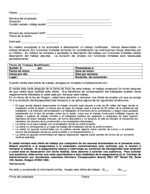 Job Offer Letter in Spanish  Form