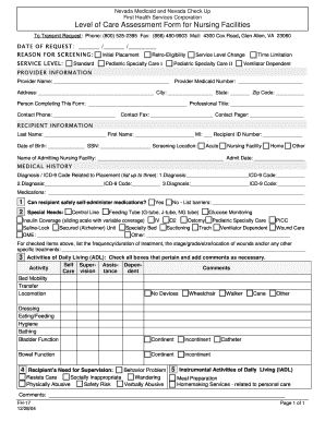 Level of Care Assessment Form