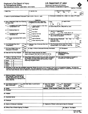 Em Loyer&#039;s Flrst Report of Injury U S De Lrtme T F L550? 9  Form