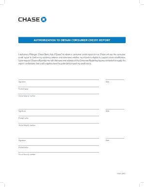  Credit Check Authorization Letter Sample 2011-2024