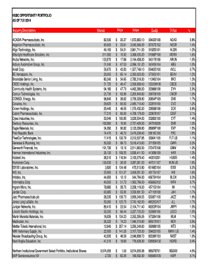 HSBC INVESTOR OPPORTUNITY PORTFOLIO as of 0731  Form