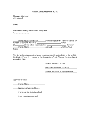 Simple Promissory Note No Interest  Form