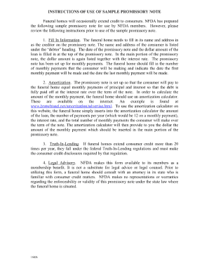 Promissory Note Sample for School Balance  Form