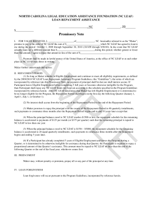 Iou Template South Africa  Form