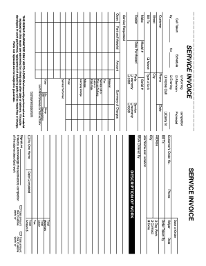 Vice Invoice Form
