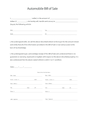 Auto Bill of Sale Form