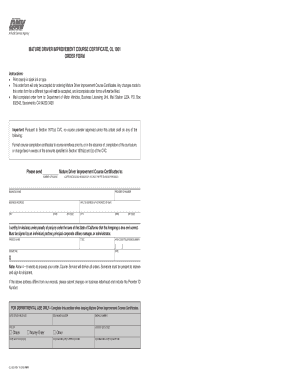 Reg 51 PDF  Form