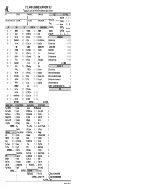  Florida Driving Test Score Sheet 2011-2023