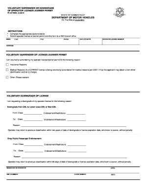 Voluntary Surrender Cdl  Form