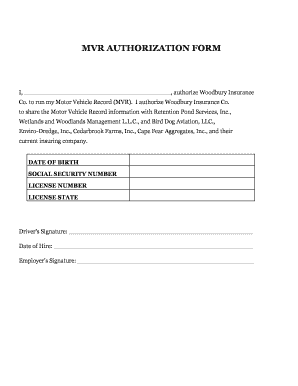 Mvr Consent Form Template