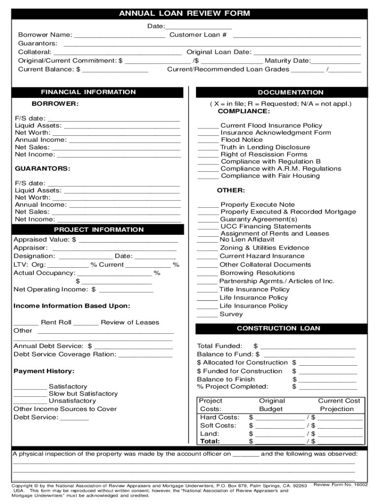 Loan Review Template  Form
