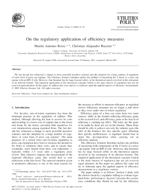 On the Regulatory Application of Efficiency Utilities Policy Martin Antonio Rossi and Christian Alejandro Ruzzier Form