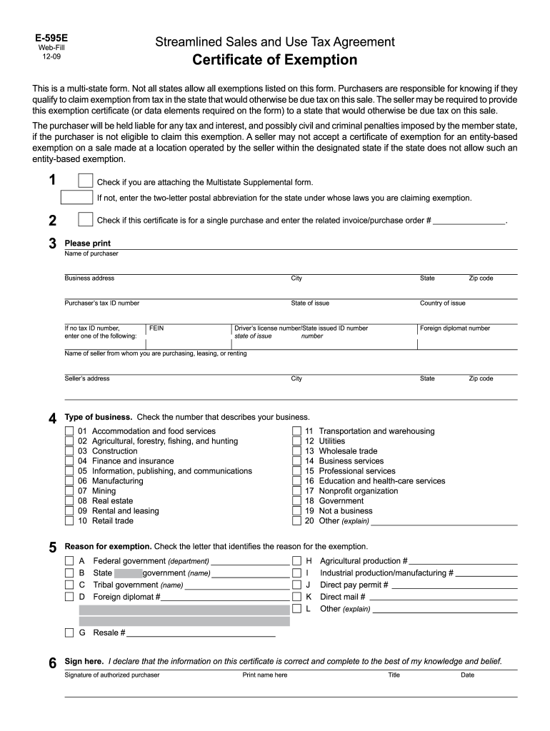 E 595e Fillable Form