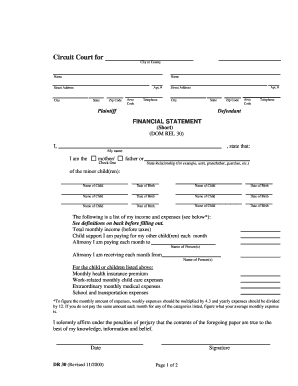 Financial Statement Short Dr 30 Form