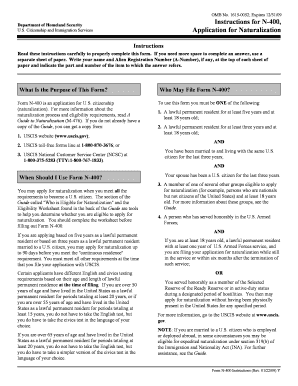 N 400 PDF Filler  Form