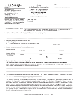  Llc 55s Form 2010