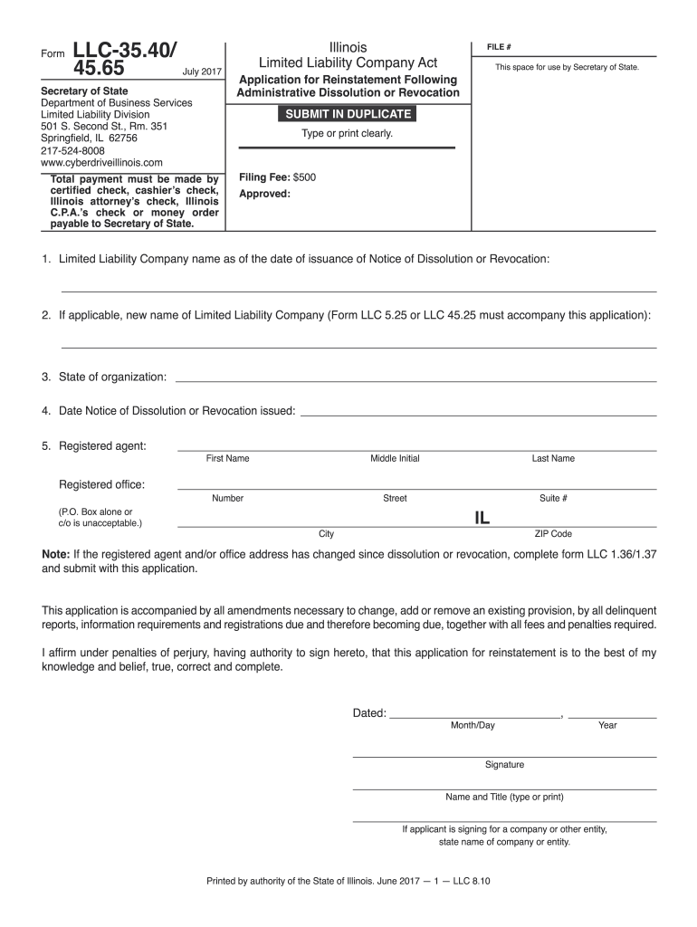  Llc 35404565  Form 2010