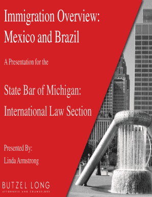 Mexico Fmm Form PDF Version