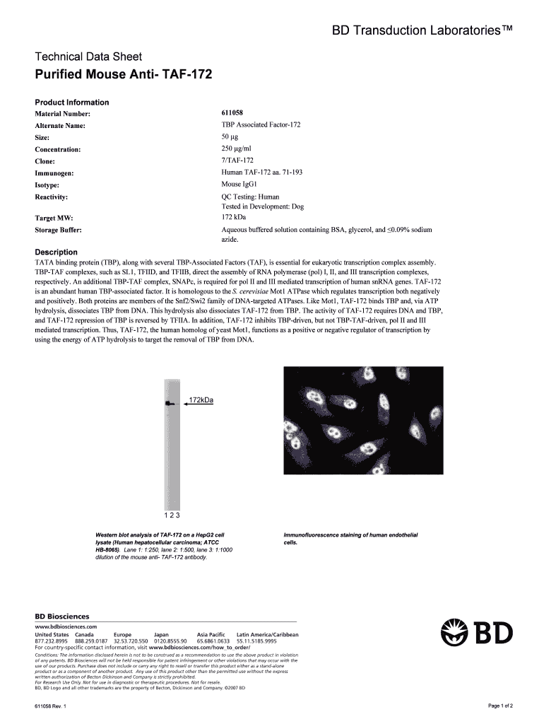 Purified Mouse Anti TAF 172  Form