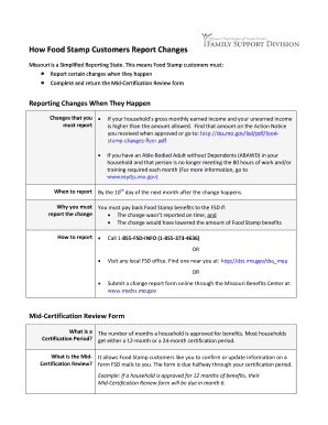  Food Stamp Application PDF 2013