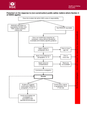 Riddor Reporting Flow Chart  Form