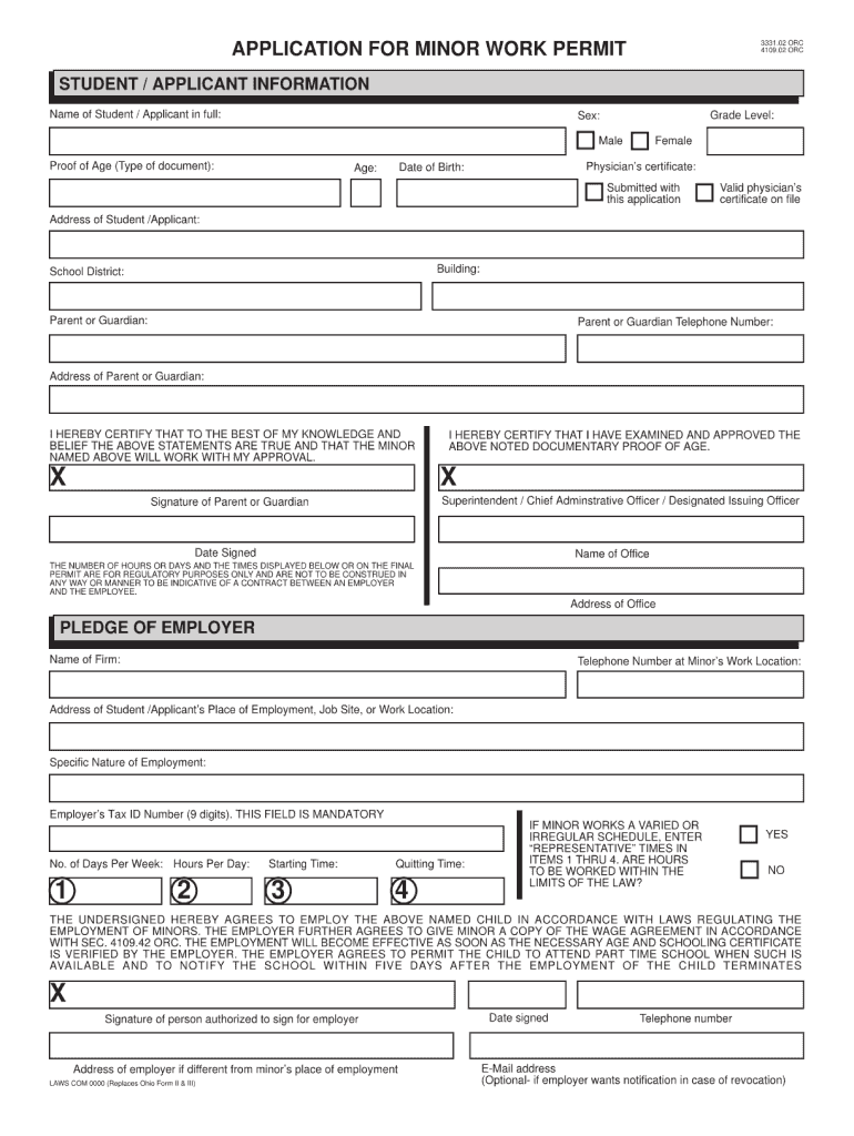 Work Permit Application Form