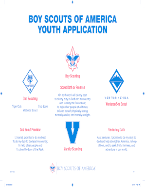 Bsa Youth Application Fillable  Form