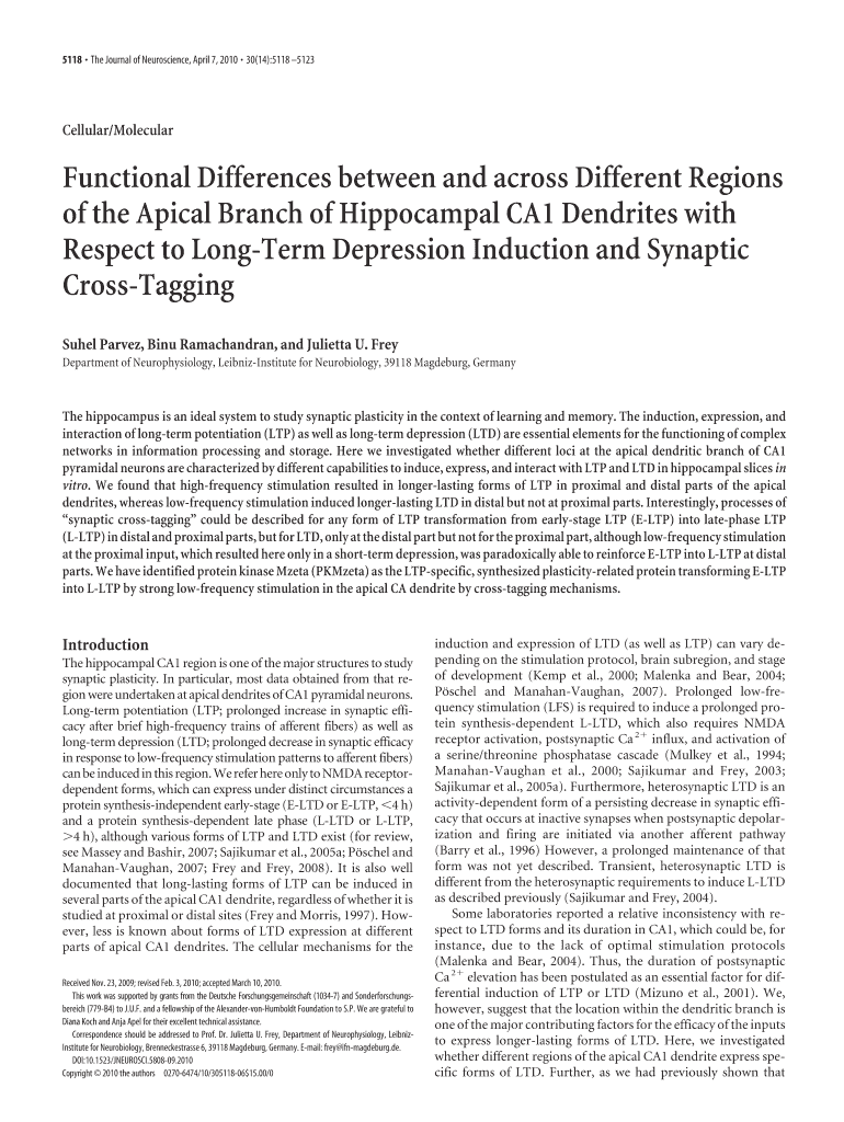 Functional Differences between and across Different Regions of the Jneurosci  Form